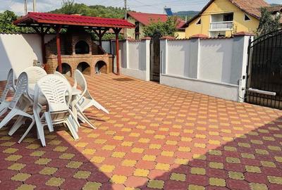 Casă cu Teren 300 Mp în Sălătrucel - 3