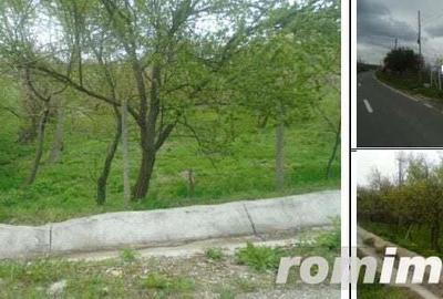 Teren extravilan livada cota 1/2 Candesti, ID : R1965265 - 1