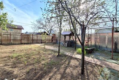 Teren de 202 mp, în Andronache - 16