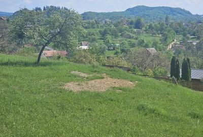 Vanzare casa pensiune P+M Vanzare casa pensiune P+M - 9