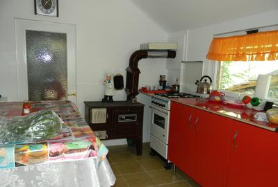 Casa Sunatori, Vatra Dornei, Suceava - 13