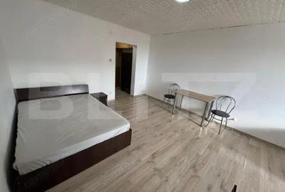 Garsonieră semidecomandată, mobilată în Brazda lui Novac - 2