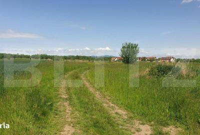 Spațiu comercial, în Stupini
