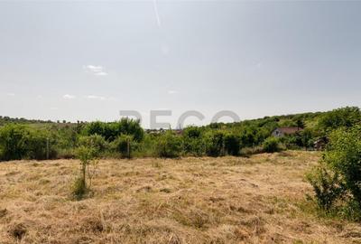 RECO Teren intravilan 1200 mp- front 30ml ,cu utilitati, Pa - 8