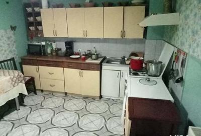 Casă cu 2 camere cu Teren 240 Mp în Sighetu Marmației - 5