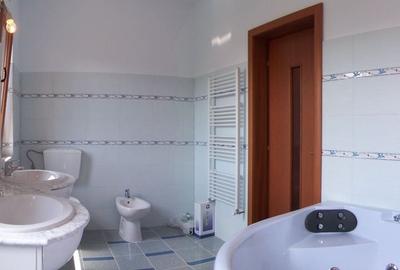 Vila Snagov langa padure / lac - 7