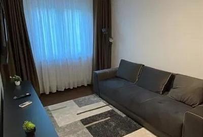 Apartament cu 2 camere, PET FRIENDLY, zona Podu Ros - 4