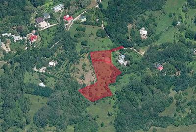 Teren de 6376 mp, în Valea Târsei - 1