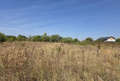 Comuna Branesti, Sat Vadul Anei pe strada Closca, 1650 mp Comuna Branesti, Sat Vadul Anei pe strada Closca, 1650 mp - 6