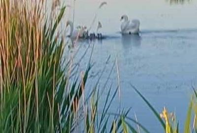 Casă cu 2 camere în Bițina-Pământeni - 2