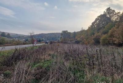 Teren de 1717 mp, în Mărgineni - 1