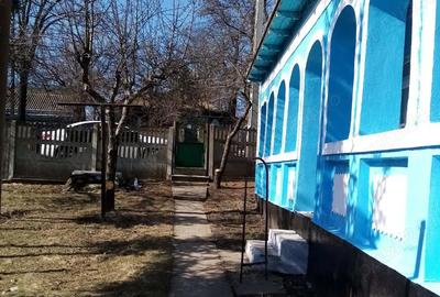 Casă cu Teren 2700 Mp în Iazu Nou - 10