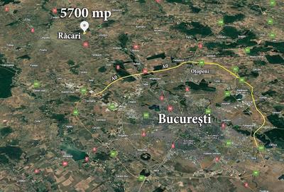 Teren de 5700 mp, în Răcari - 4