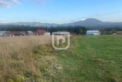 Teren intravilan  – Poiana Stampei 🌲 - 2