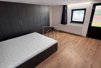 Casa de vacanta cu teren generos in localitatea Pauca, Sibiu - 11