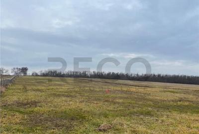 RECO Teren intravilan cu PUZ, la 4 minute de oras ,720 mp,Pa - 2