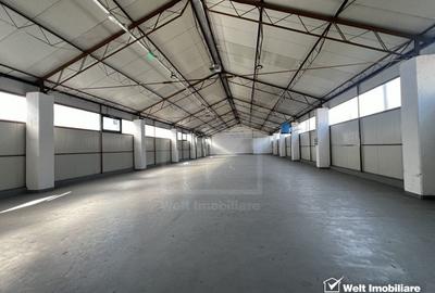 Depozit 484mp, zona industriala Someseni Aeroport - 6