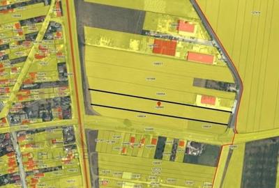 Teren intravilan în Lumina - 3