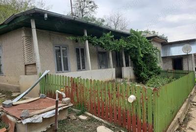Casă cu 3 camere în Băneasa - 5