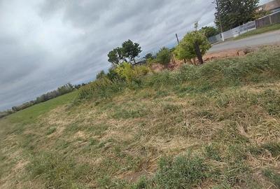 Teren de 4000 mp, în Tudor Vladimirescu - 2