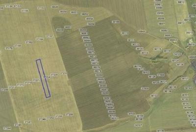 Teren extravilan cota parte 3/24, Nalbant ; ID: R2827364 - 3