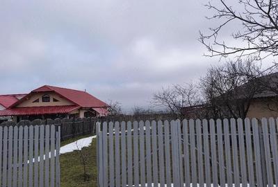 Teren de 1168 mp, în Frumușița - 4