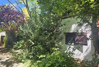 Casă cu 3 camere în Vama Veche - 4