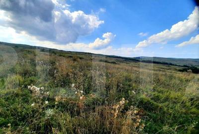 Teren de 5800 mp, în Central