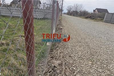 Teren de 1050 mp, în Cetate - 5