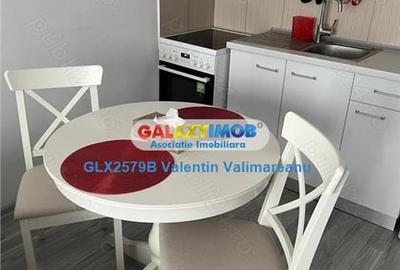 Inchiriere Apartament 2 Camere Mobilat si Utilat Tineretului G07 - 4