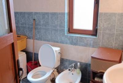 Tomesti Deal casa P+1 180 mp mobilata si utilata complet - 10
