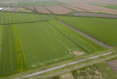 Teren extravilan de 22500mp Zona Ineu - 2