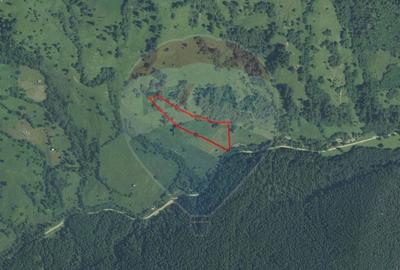 Teren extravilan de 12127 mp, în Sud - 14