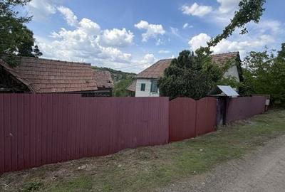 Casă cu 3 camere cu Teren 29000 Mp în Central - 5