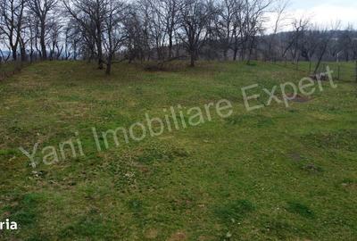 Teren de 2674 mp, în Cepari - 11