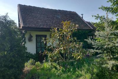 Casă cu 1 camere cu Teren 7500 Mp în Bazna - 6