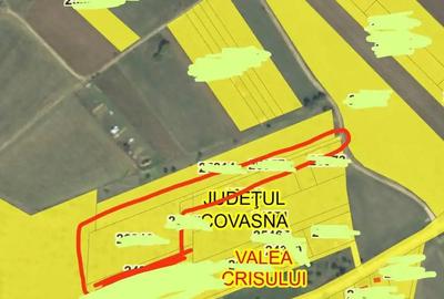De vanzare teren extravilan in Valea Crisului - 2