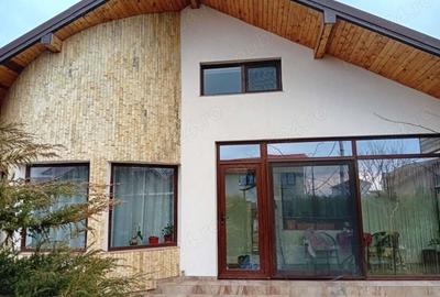 Casa P + M in Agigea - 1