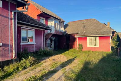 Investitie pentru liniste si oaza de verdeata - 18