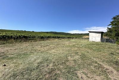 Teren de 1063 mp, în Exterior Vest - 7