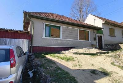 Casă cu Teren 300 Mp în Muncitoresc - 11