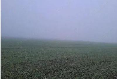 Teren extravilan arabil Troianul, ID: R2884553 - 2