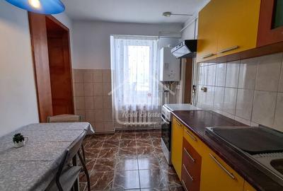 Suprafata Generoasa Garii - 8