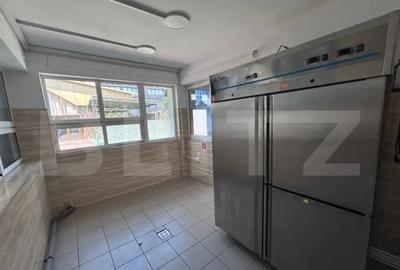 Spațiu comercial, de 230 mp, în George Enescu - 4