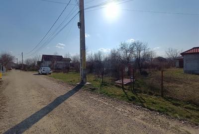 Teren Construcții intravilan de 1330 mp, în Nicolae Bălcescu - 2