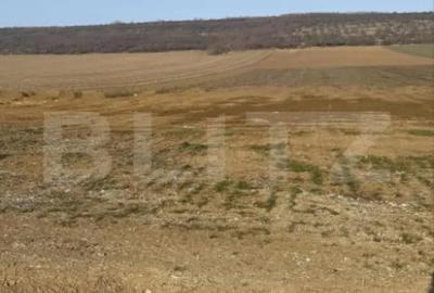 Teren de 12500 mp, în Central