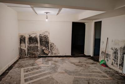 Spatiu comercial ultracentral - 2
