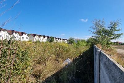 Teren Construcții intravilan de 8000 mp, în Nord-Vest - 3