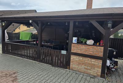 Casa in Livezeni cu piscina,garaj,pivnita foisor 4 camere si 720 mp teren - 5