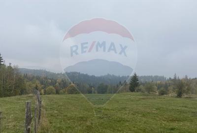 Teren Construcții intravilan de 8119 mp, în Călățele - 12